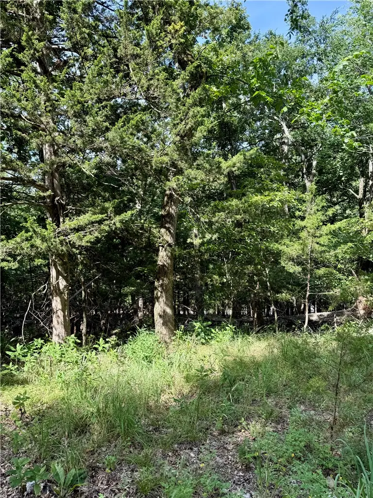 Lot 40 Pine Drive, Garfield, AR 72732 - #3