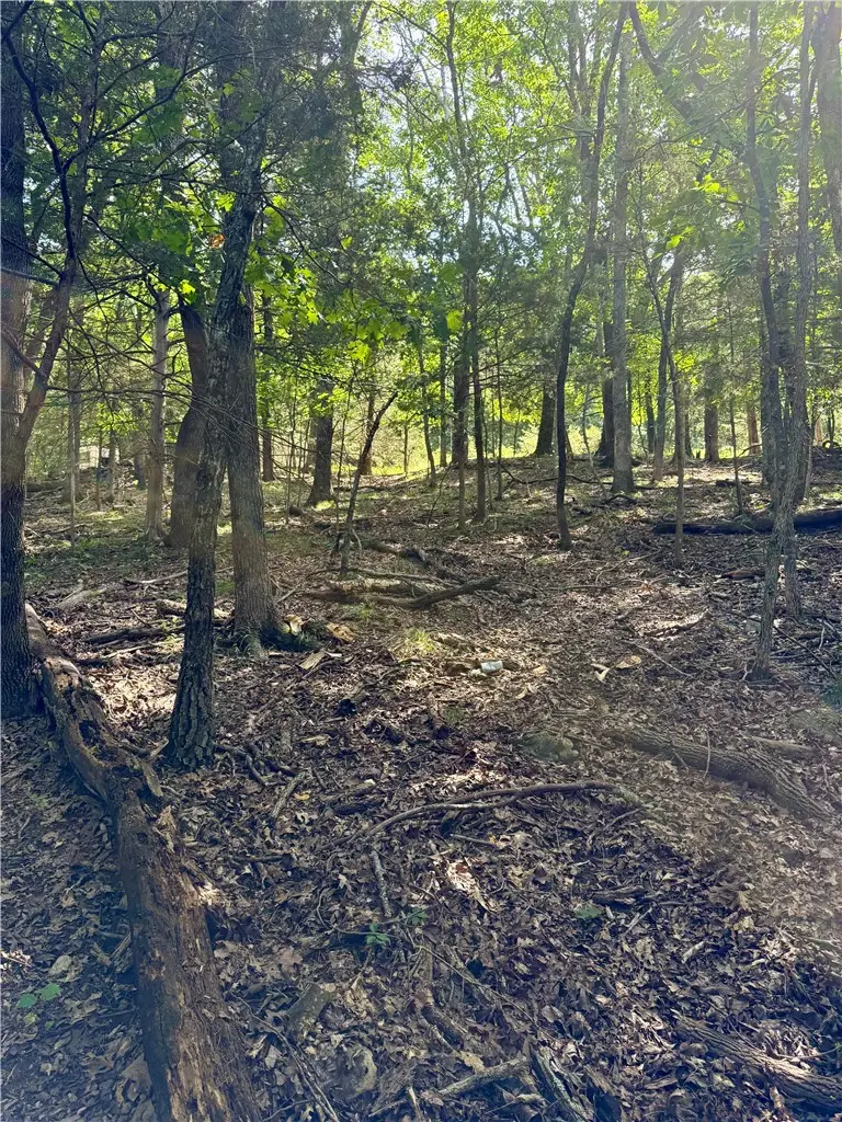Lot 39 Pine Drive, Garfield, AR 72732 - #2