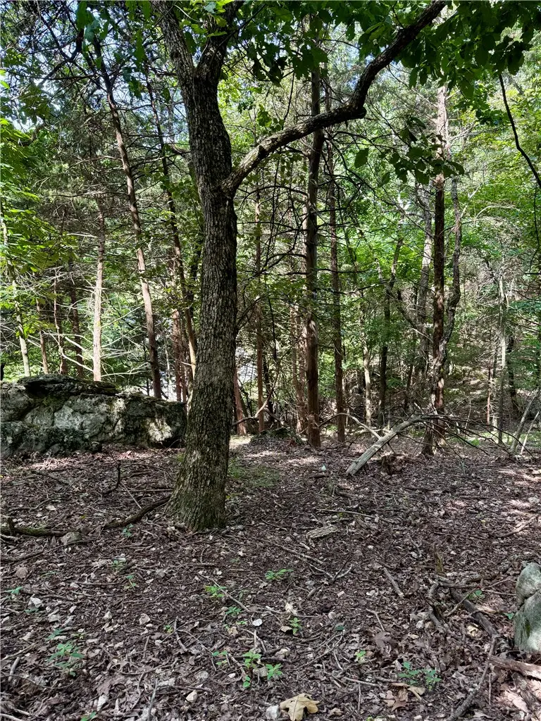 Lot 39 Pine Drive, Garfield, AR 72732 - #3