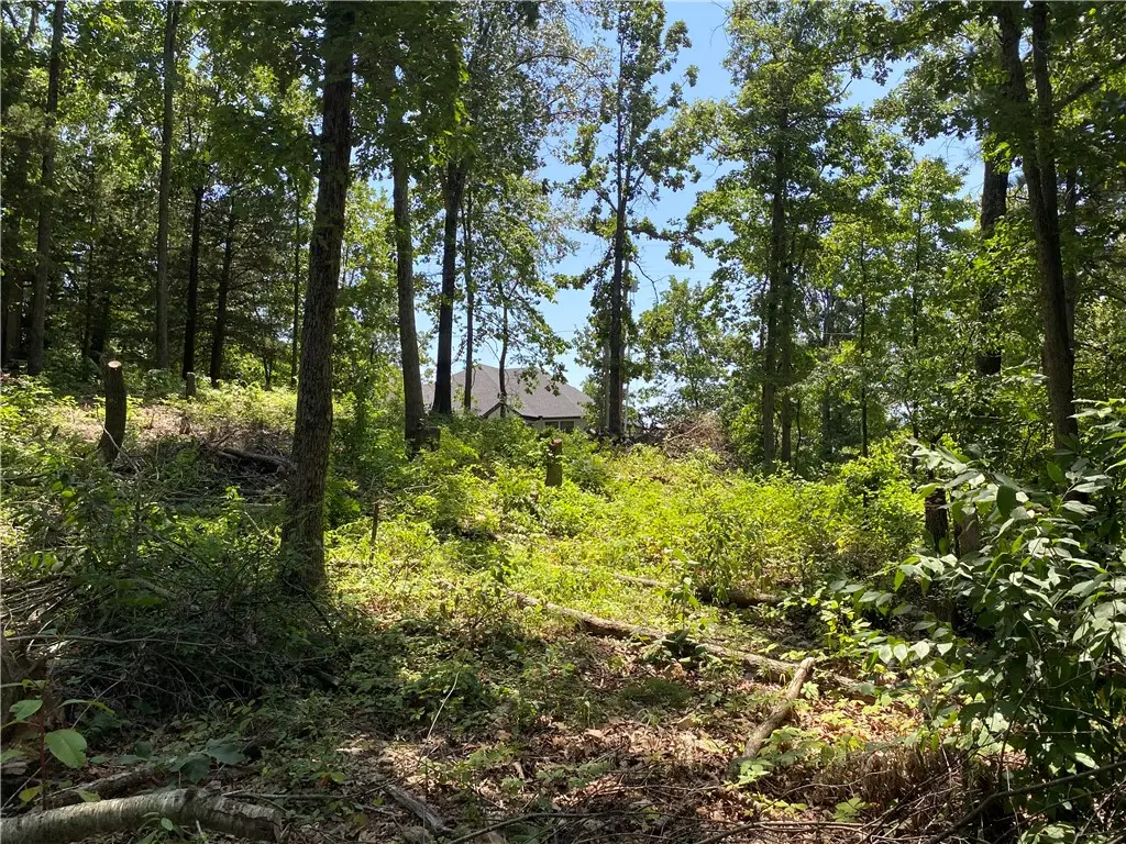 TBD Pinehurst Drive, Bella Vista, AR 72715 - #1