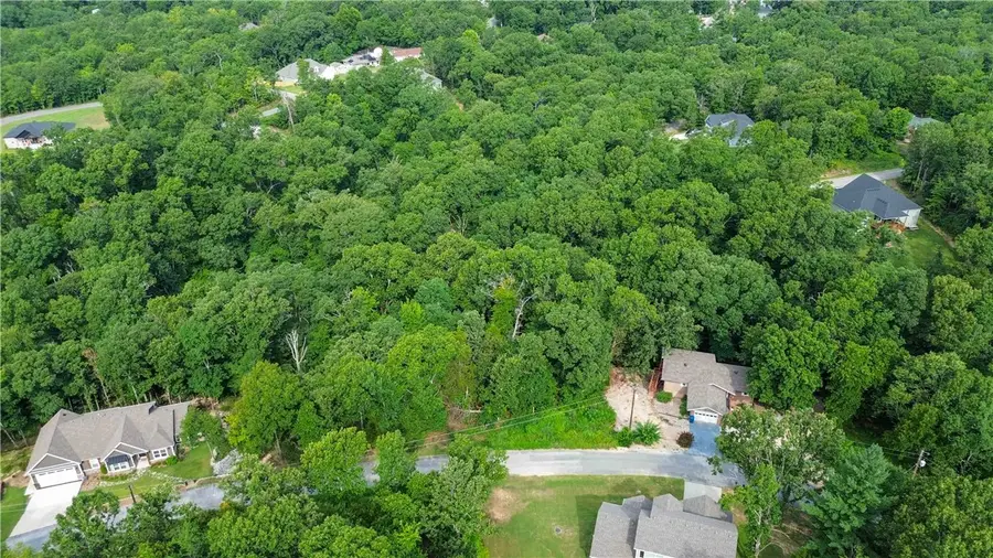 Lot 10 Block 8 Roxburgh, Bella Vista, AR 72715 - #2