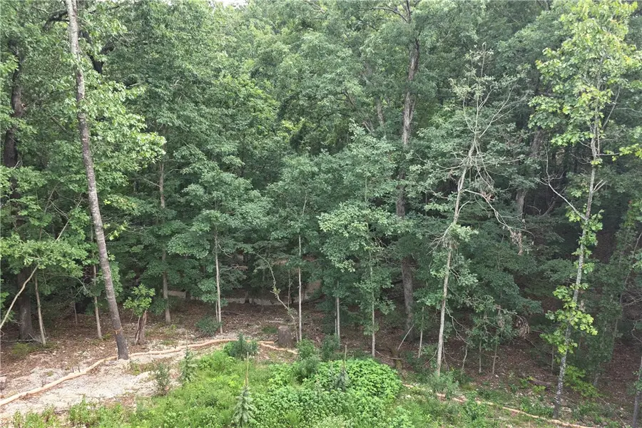 16 Weedon Lane, Bella Vista, AR 72714 - #2