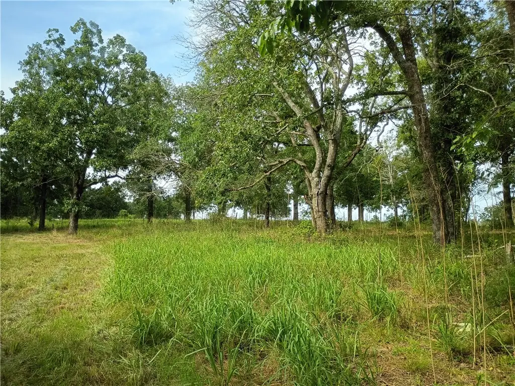 TBA Lot 3 Turnbow Lane, Russellville, AR 72802 - #1