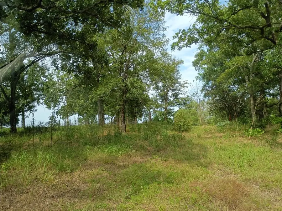 TBA Lot 3 Turnbow Lane, Russellville, AR 72802 - #2