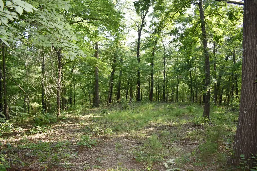 000 Madison 5430, Elkins, AR 72727 - #3