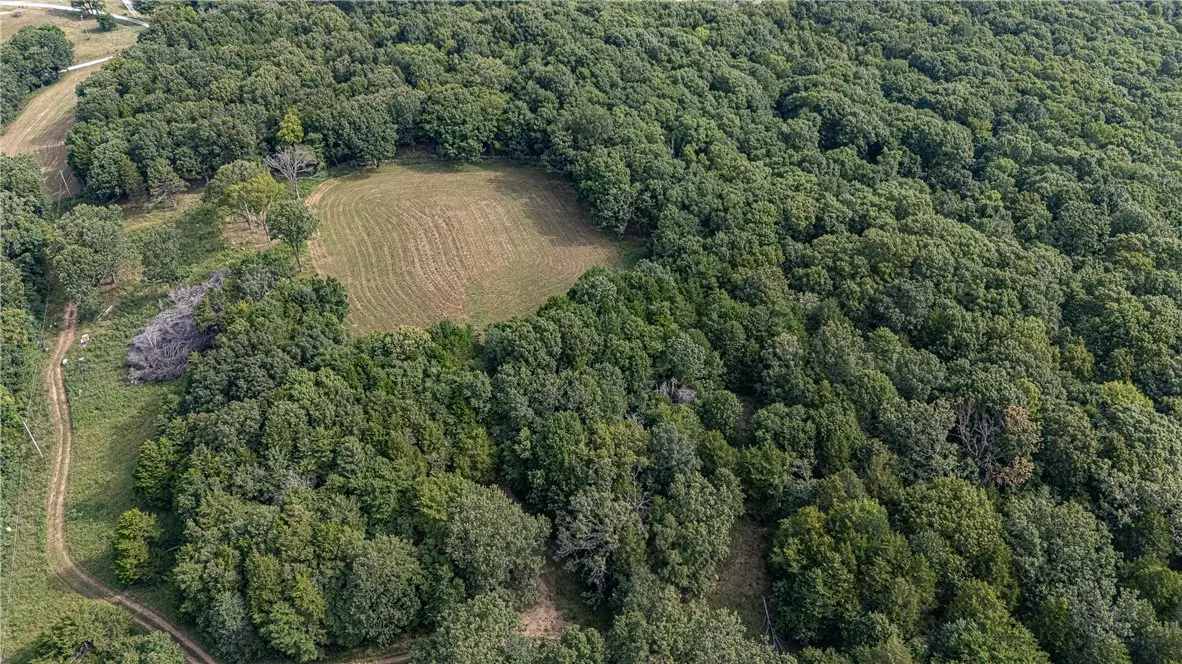 TBD Malico Mountain Road, West Fork, AR 72774 - #1