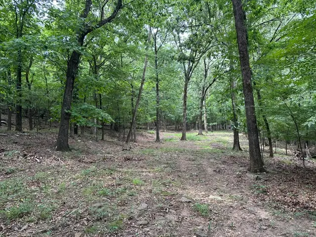 14295 Blue Mountain Road, Prairie Grove, AR 72753 - #1
