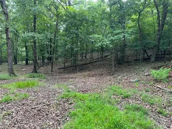 14315 Blue Mountain Road, Prairie Grove, AR 72753