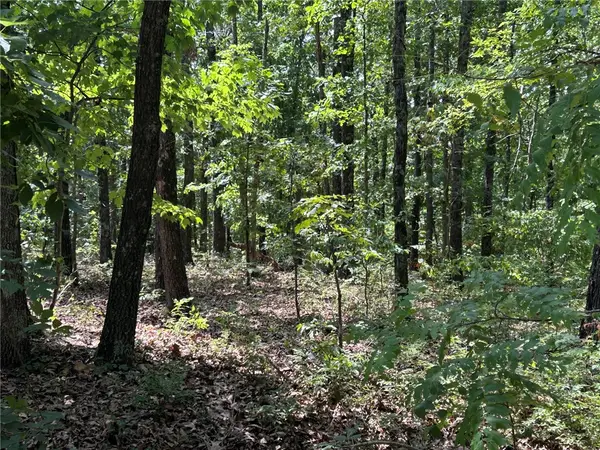 00000 Cranbrook Lane, Bella Vista, AR 72714