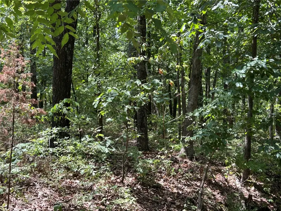 00000 Cranbrook Lane, Bella Vista, AR 72714 - #3