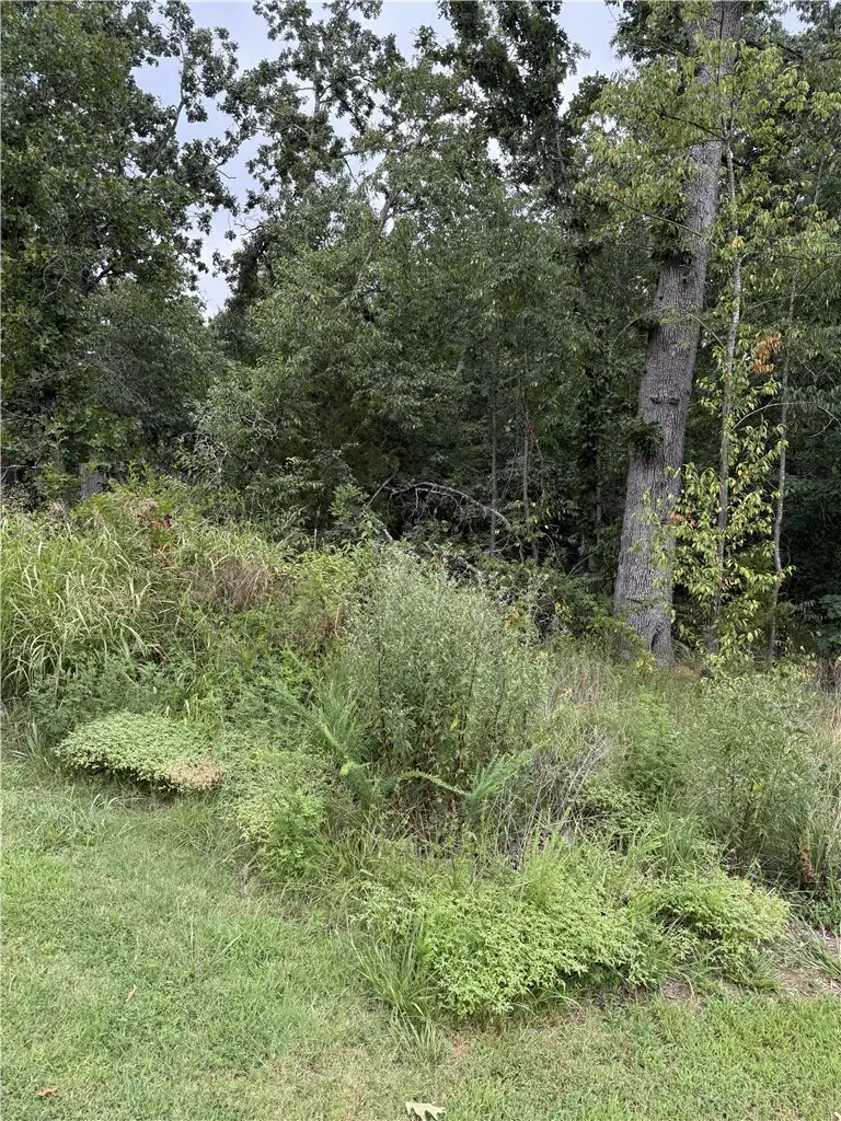 Lot 12 Eriboll Lane, Bella Vista, AR 72715 - #1