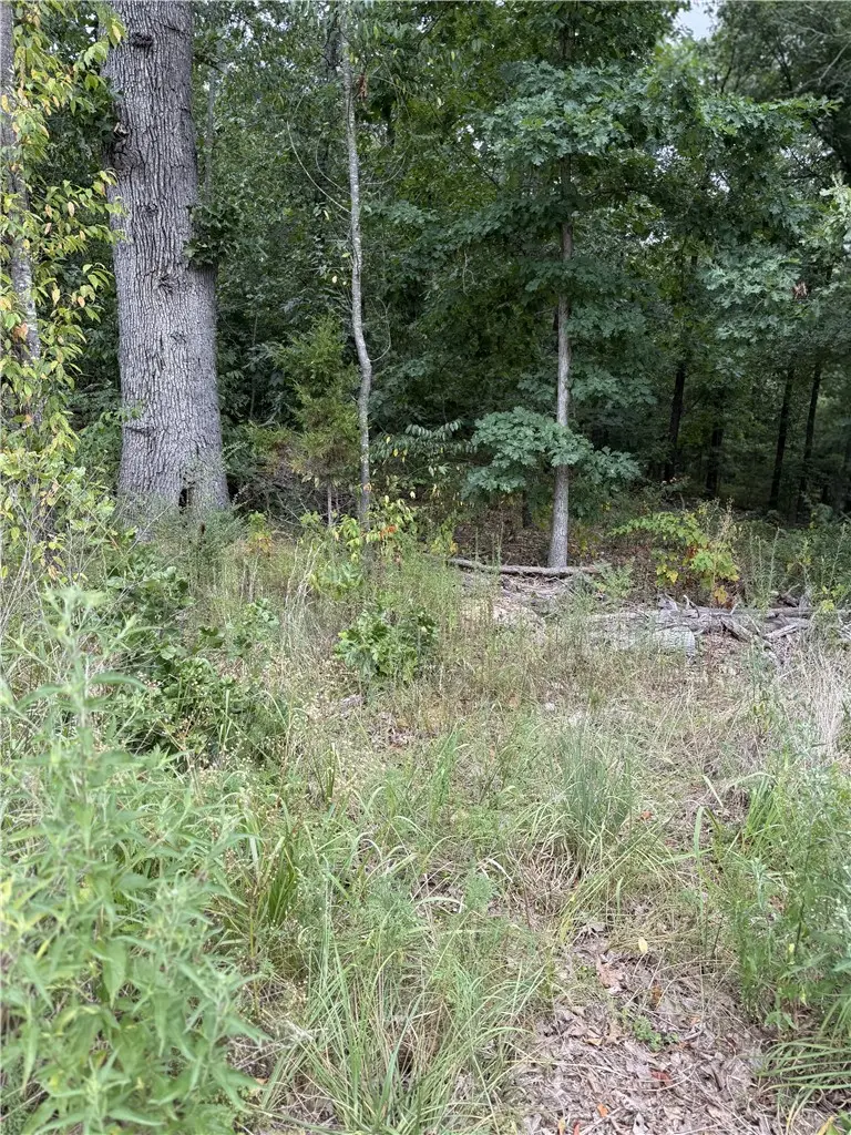 Lot 12 Eriboll Lane, Bella Vista, AR 72715 - #2