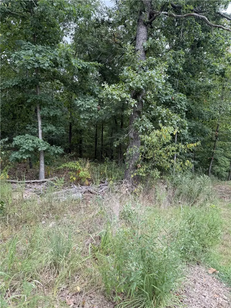 Lot 12 Eriboll Lane, Bella Vista, AR 72715 - #3