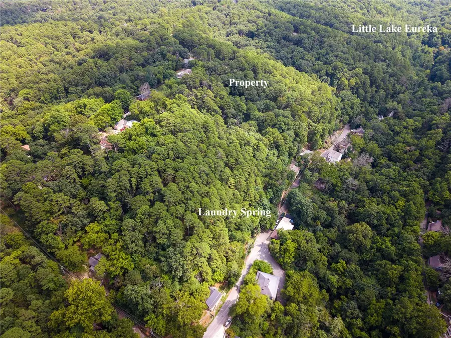 Tbd E Mountain Street, Eureka Springs, AR 72632 - #2