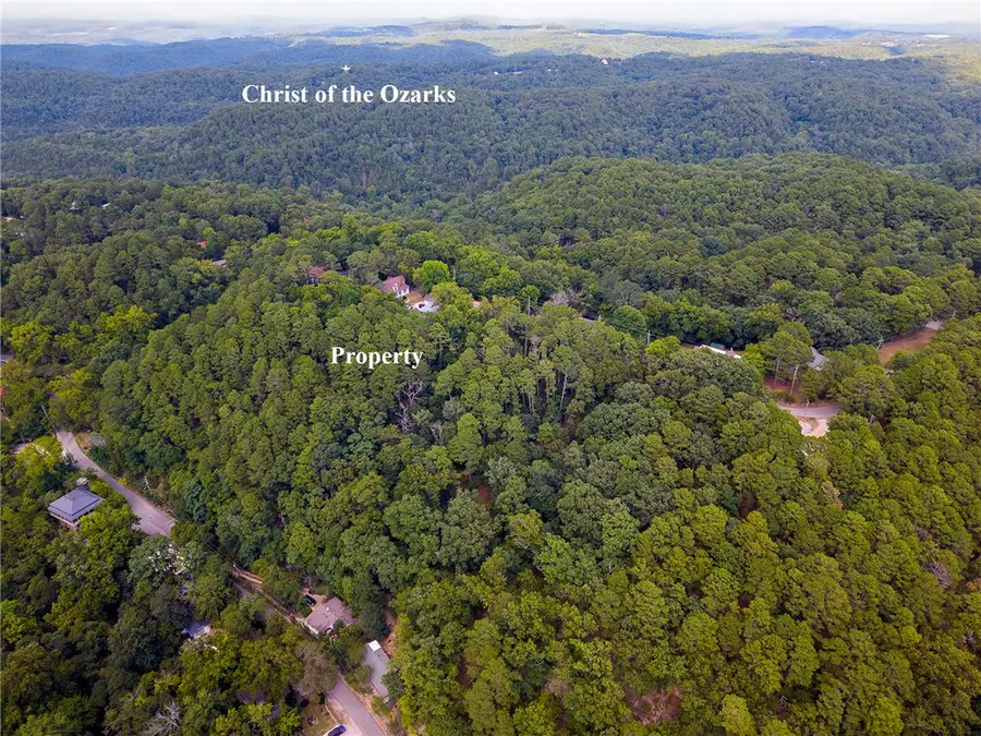 Tbd E Mountain Street, Eureka Springs, AR 72632 - #3