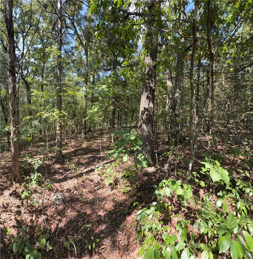 TBD (Lot 18) Larchwood Drive, Diamond City, AR 72644 - #2
