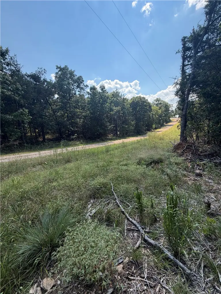 TBD (Lot 18) Larchwood Drive, Diamond City, AR 72644 - #3