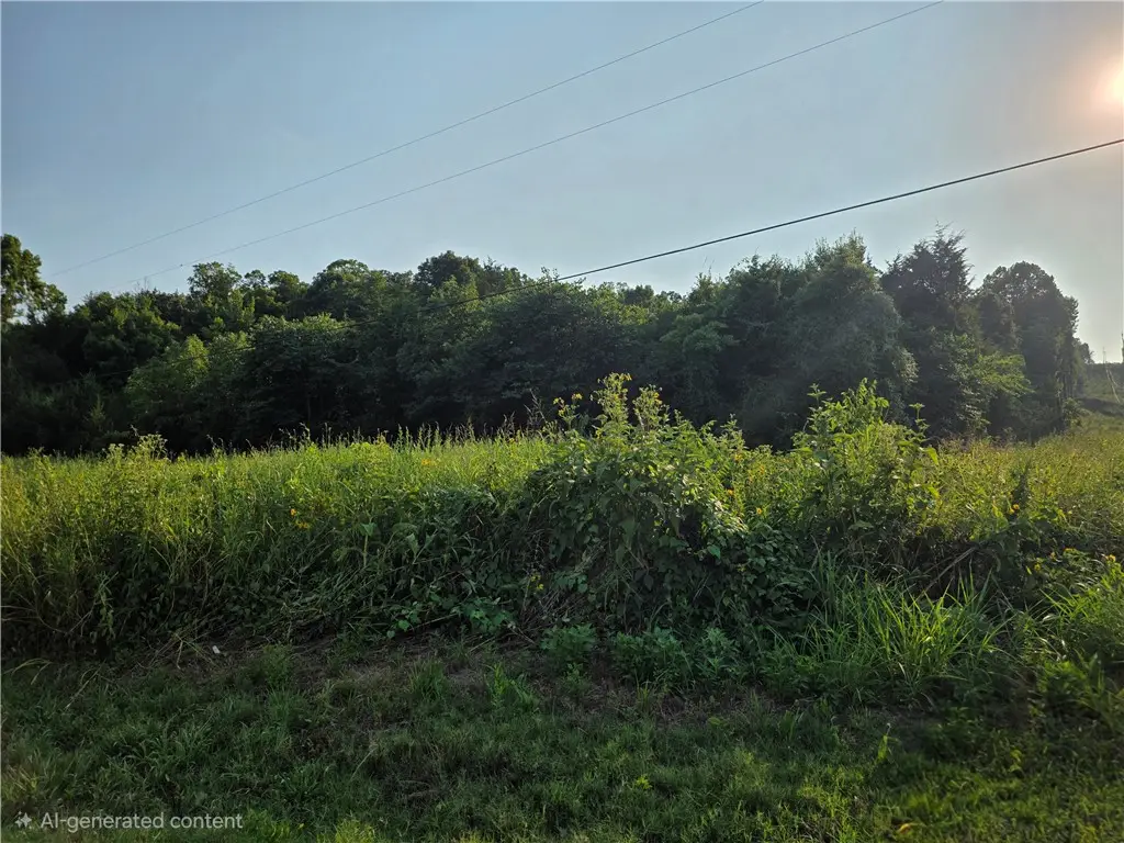 TBD 000 N N Hwy 59, Sulphur Springs, AR 72768 - #1