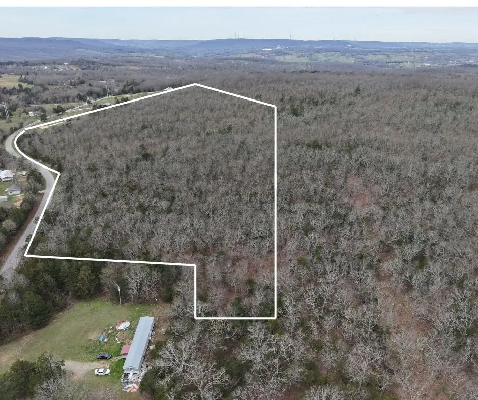 9550 Dunkard Road, Harrison, AR 72601 - #1