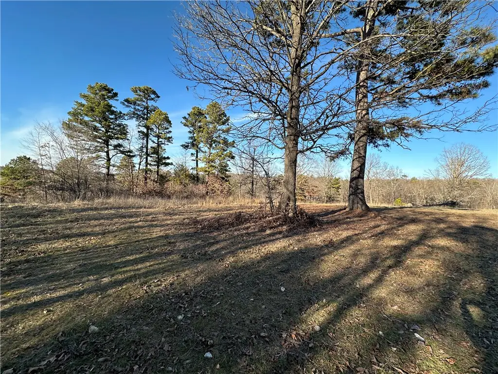 Woodhaven Drive, Hindsville, AR 72738 - #1