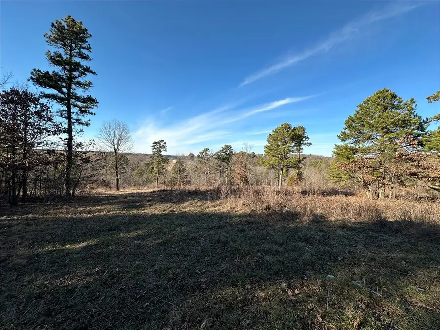 Woodhaven Drive, Hindsville, AR 72738 - #2