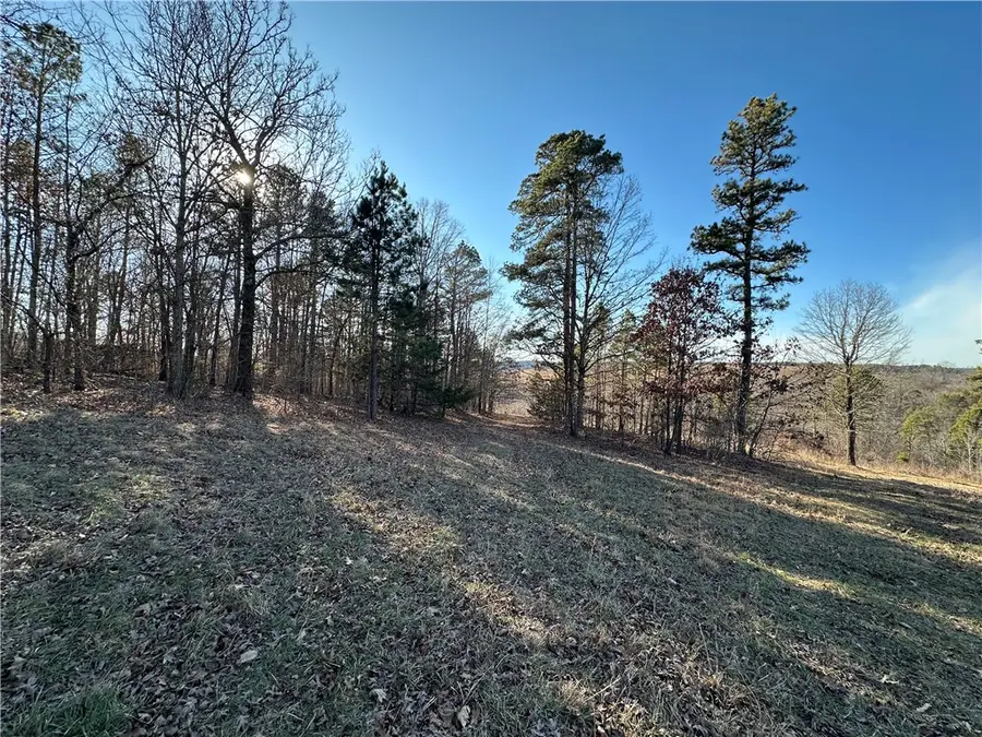 Woodhaven Drive, Hindsville, AR 72738 - #3