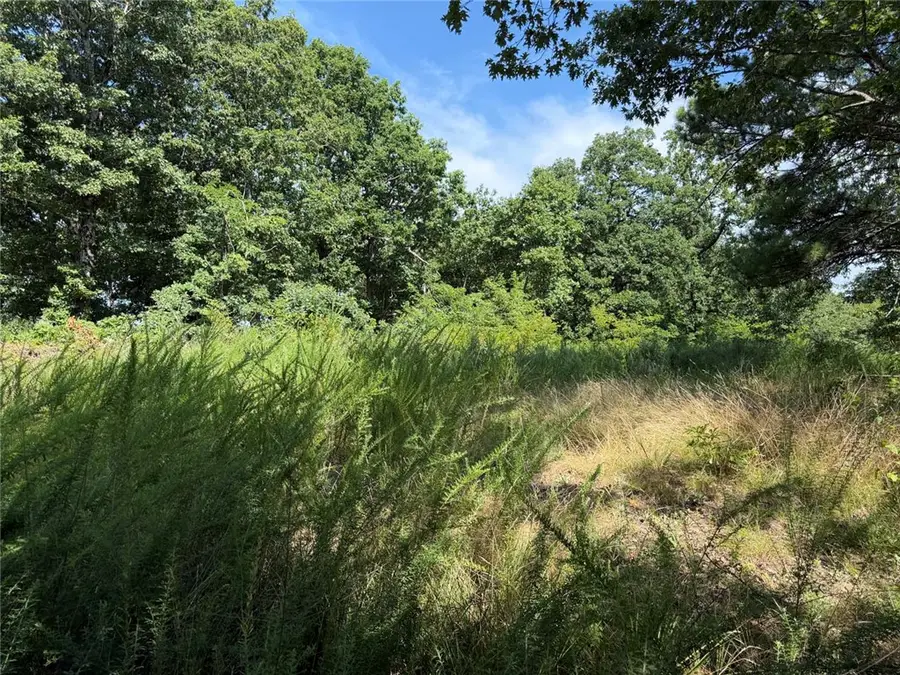 Lot 1 & 5 Hwy 7, Pelsor, AR 72856 - #2