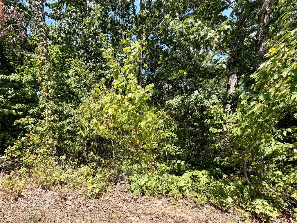 Glyndebourne Drive, Bella Vista, AR 72715 - #1