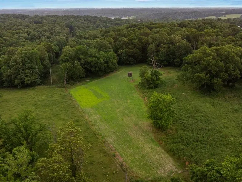 Buenning Lane, Decatur, AR 72722 - #1
