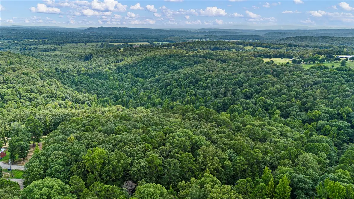 Whitetail Trail, Dover, AR 72837 - #1