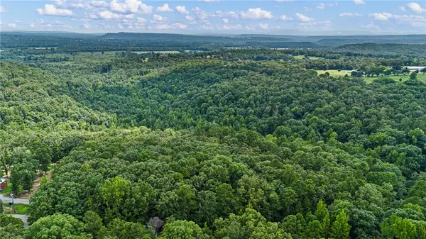 Whitetail Trail, Dover, AR 72837