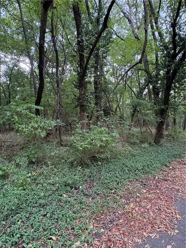 Tract 2A- W A Street, Joplin, MO 64801