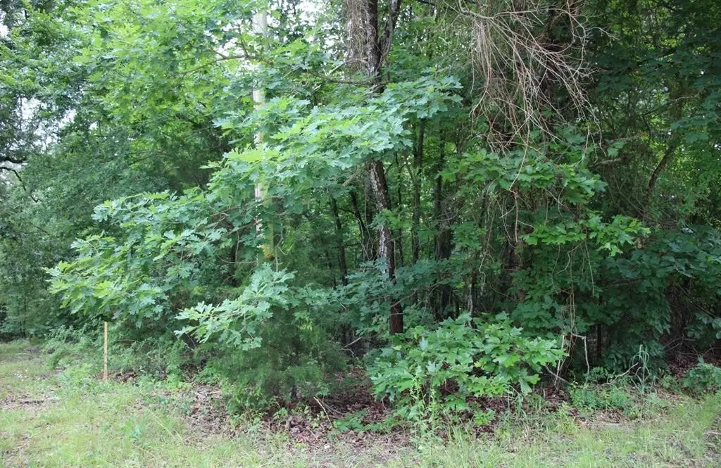 001-09520-000 Hwy 178, Lakeview, AR 72642 - #1