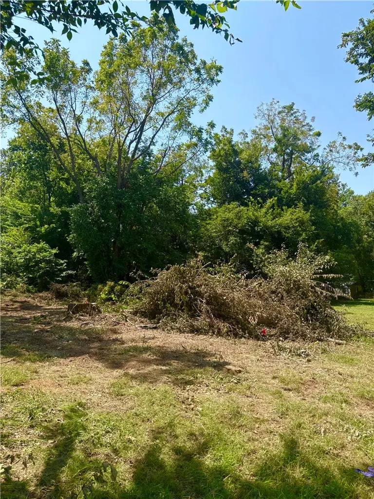 Tract B - 0.28+/- Front Street, Stark City, MO 64866 - #3