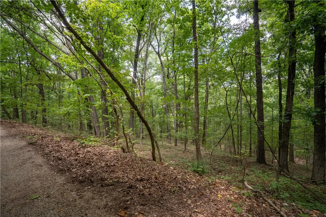 Bedlington Lane, Bella Vista, AR 72714 - #1