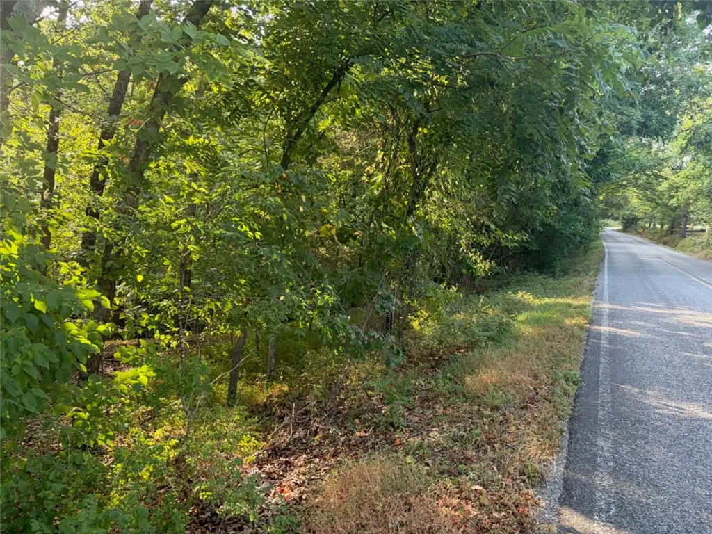 Panorama Road, Rogers, AR 72758 - #1