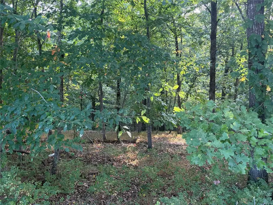 Panorama Road, Rogers, AR 72758 - #2