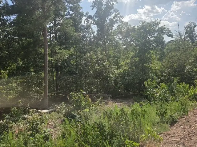 TBD Wakefield Lane, Bella Vista, AR 72715 - #2