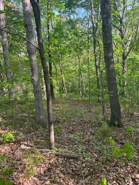 Juletta Circle, Bella Vista, AR 72715 - #3