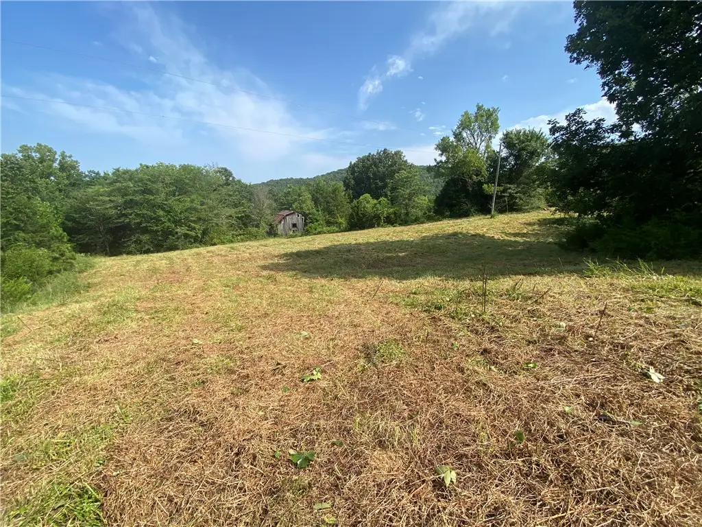 3862 Highway 21, Kingston, AR 72742 - #1