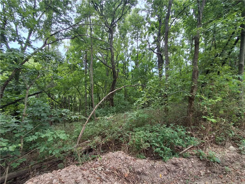 TBD County Road 517, Berryville, AR 72616 - #1