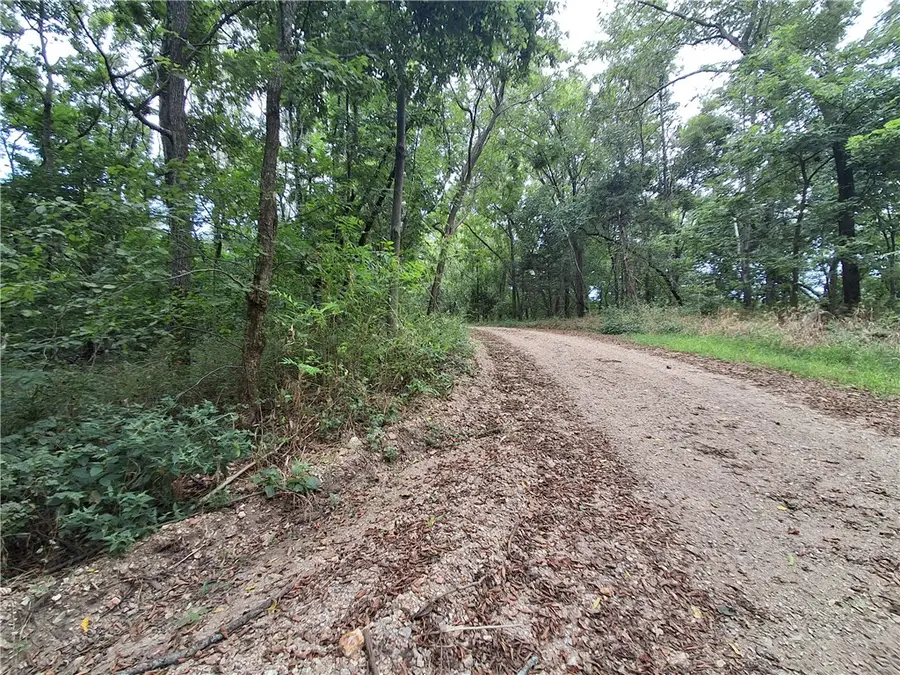 TBD County Road 517, Berryville, AR 72616 - #2