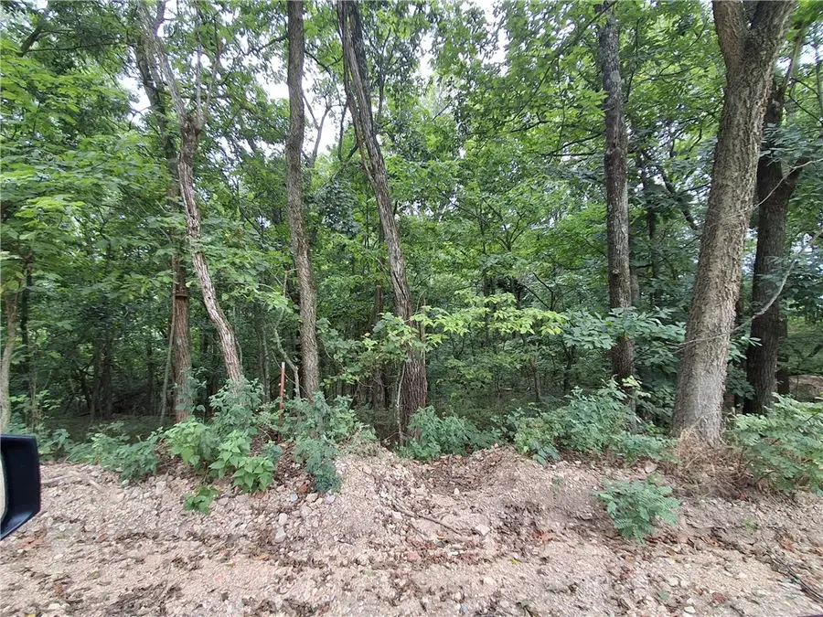 TBD County Road 517, Berryville, AR 72616 - #3