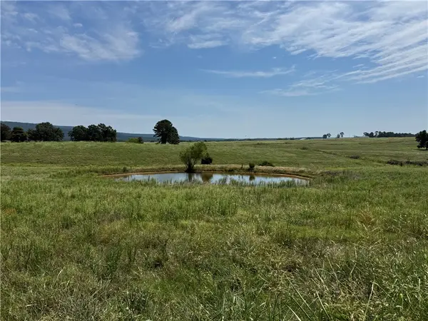 TBD Tract 2 Llewellyn Loop, Hector, AR 72843