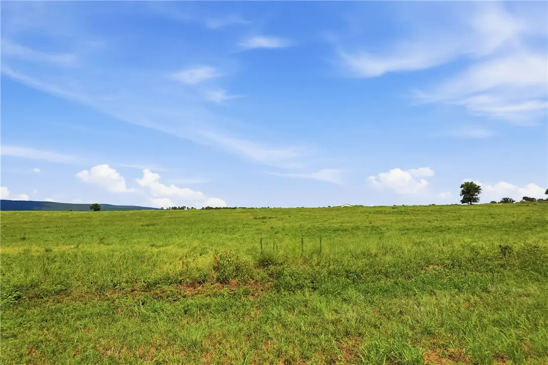 TBD Tract 1 Pine Street, Hector, AR 72843 - #1