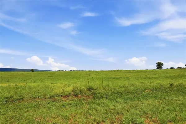TBD Tract 1 Pine Street, Hector, AR 72843