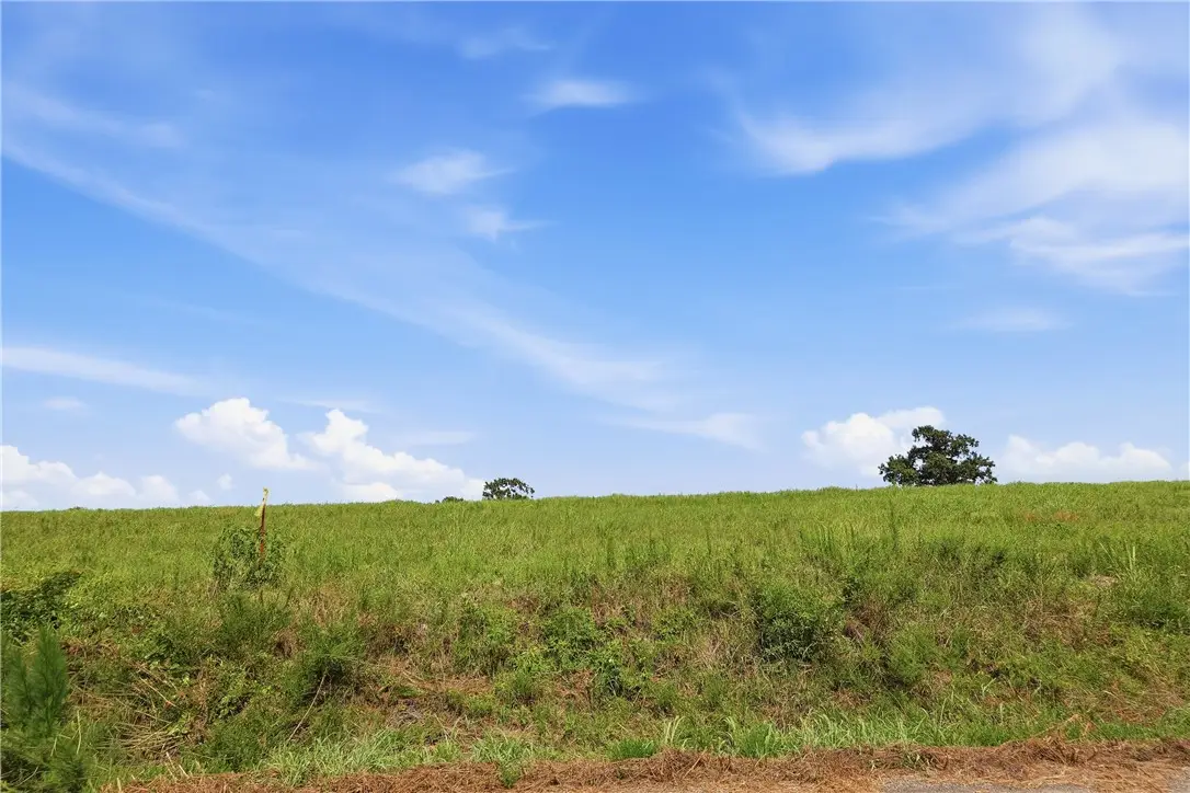 TBD Tract 3 Llewellyn Loop, Hector, AR 72843 - #1