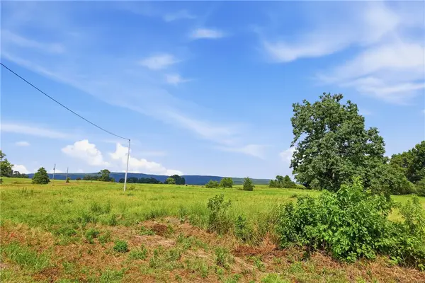 TBD Tract 4 Llewellyn Loop, Hector, AR 72843