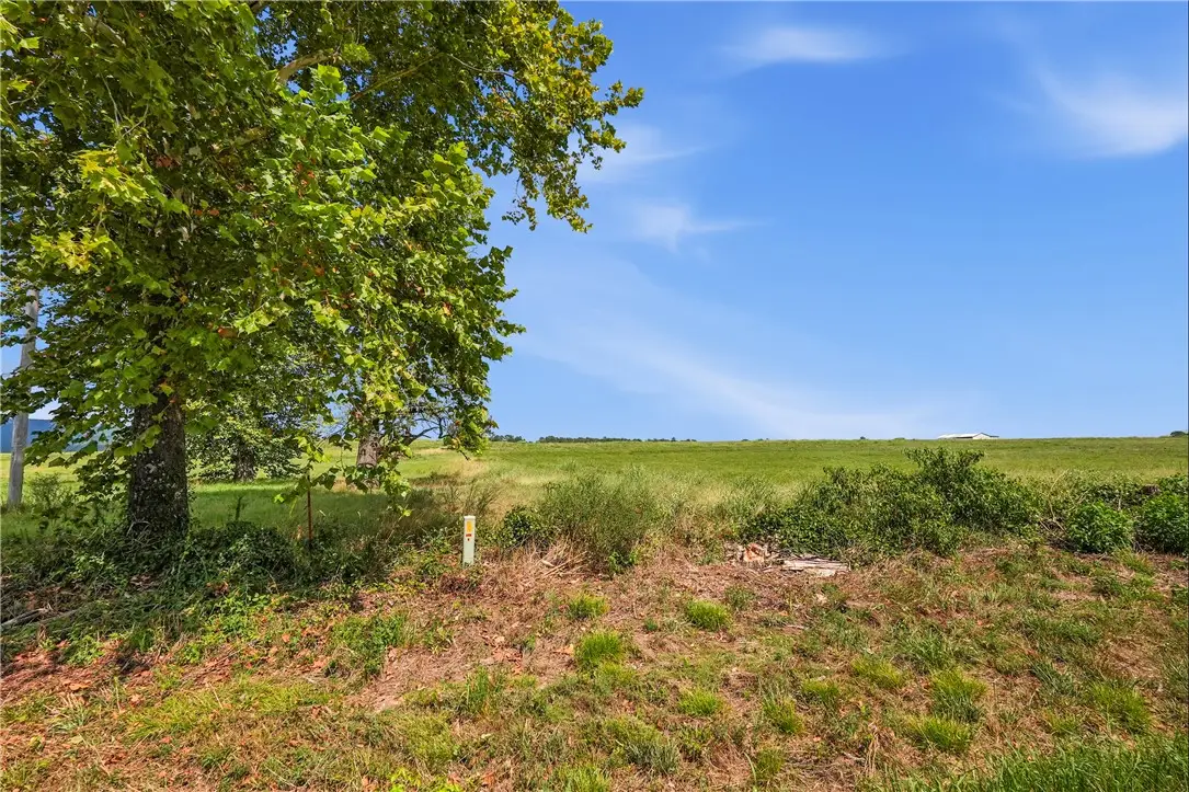 TBD Tract 5 Llewellyn Loop, Hector, AR 72843 - #1