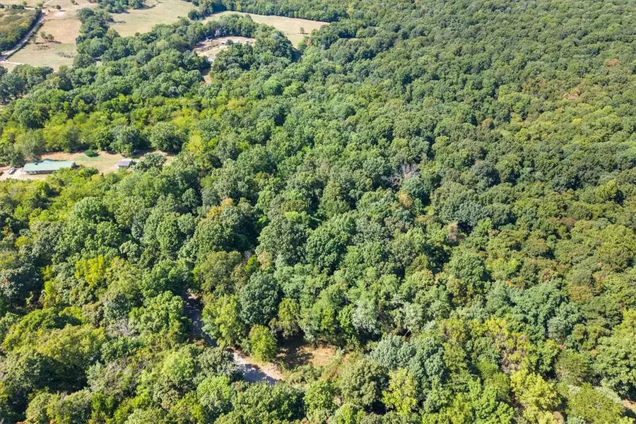 18026 N Skylight Mountain Road, Canehill, AR 72717 - #3